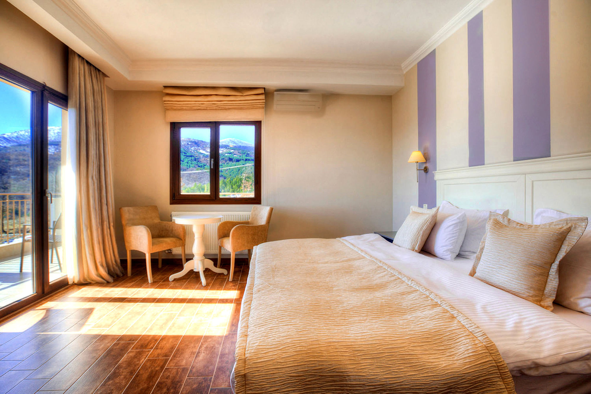 Enastron View 4*